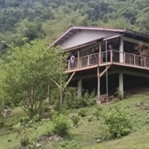 Land Listing Website Build